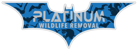 Advanced Wildlife Removal