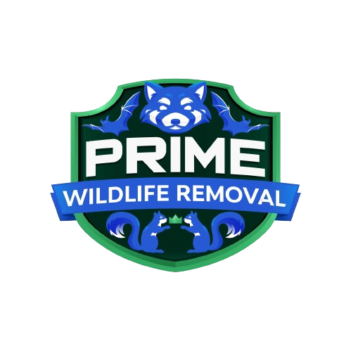 Advanced Wildlife Removal